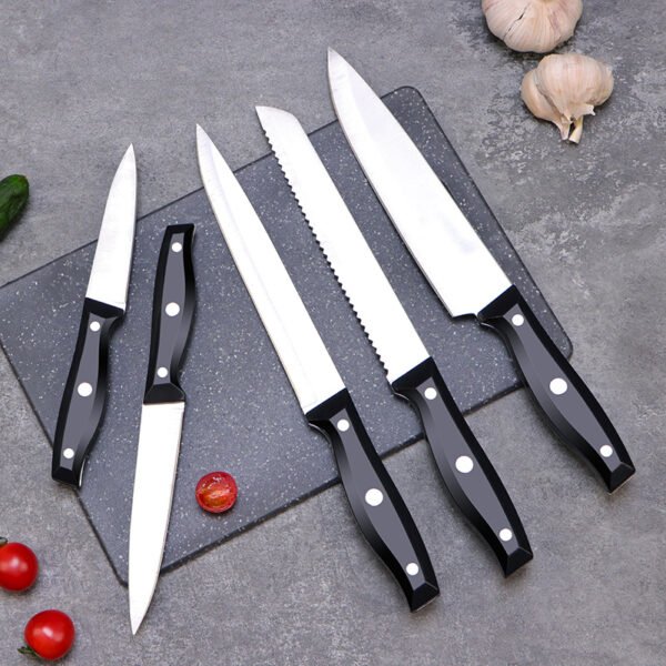 Stainless steel kitchen knife set SR-KN0045
